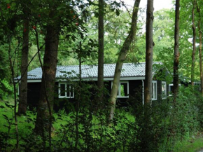 Nice House surrounded by forest